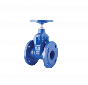  Resilient Seated Gate Valve