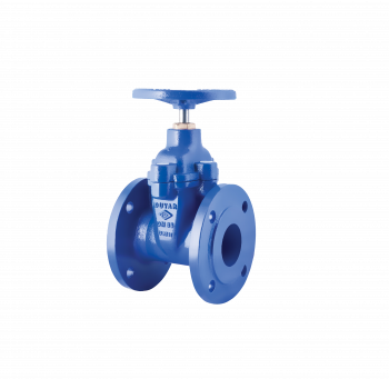 Resilient Seated Gate Valve