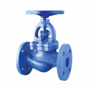  Globe Valve