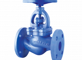 Globe Valve